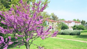Ai Pini Resort