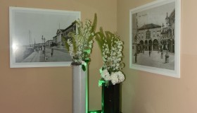 Guest House Riviera