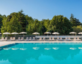 Arena Hotel Holiday