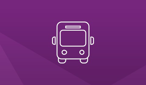 By Bus