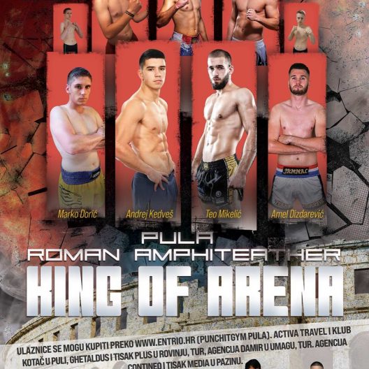 ARENA FIGHT NIGHT